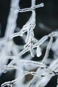 武漢的雪，落在了木蘭山之上