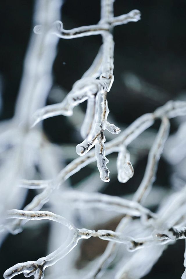 武漢的雪，落在了木蘭山之上