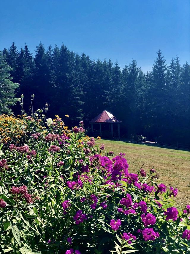 愛德華王子島 Newglasgow