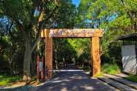 秋日打卡上海莊行（農藝）郊野公園