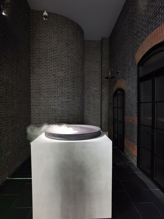 雅努斯的介面