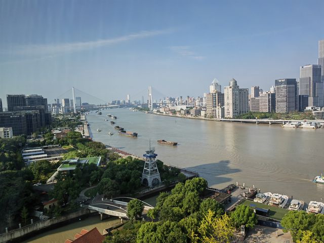 一橋飛架黃浦江—南浦大橋