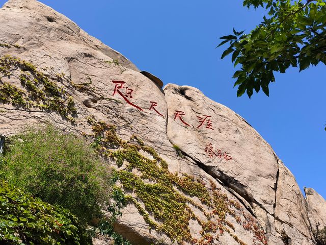 尋找“天下第一壽”——崂山仰口風景遊覽區