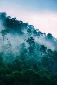 許多時光不擾的隱秘角落 隱藏在雲南的大山之中 時空的距離被高速公路縮短 而靜下來的心境 則需要沉浸其