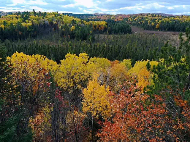 On October 16, 2019, I visited the Algonquin National Forest Park, where I saw the mountains covered in red and the forests dyed in layers