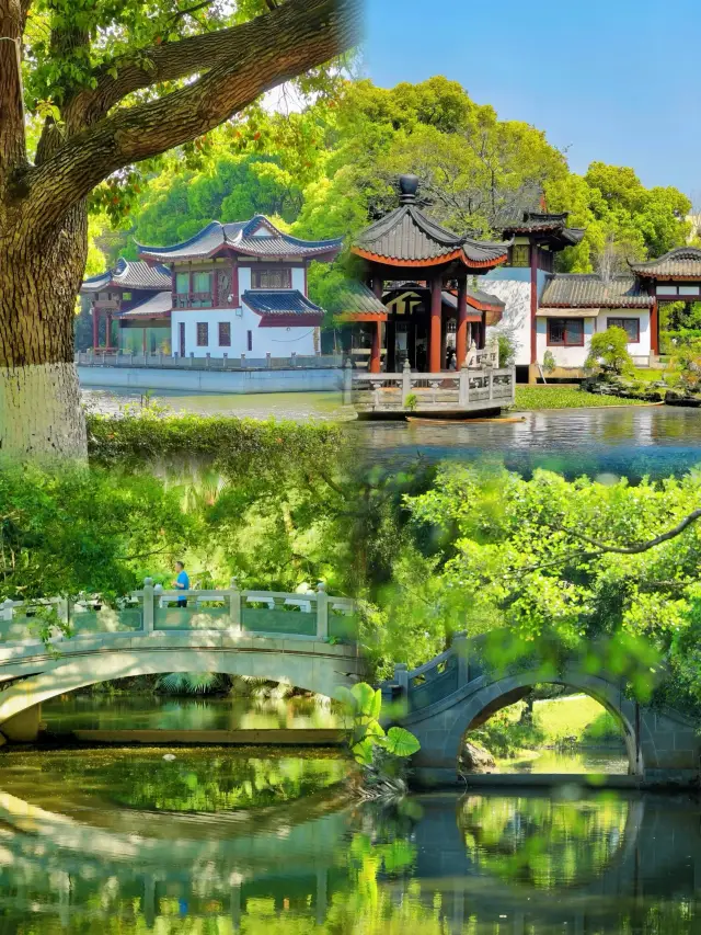 Shenzhen Hidden Gem | The Jiangnan Water Town Hidden in the City Center