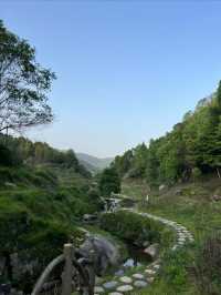 長沙周邊/遠離人流的寶藏森林公園