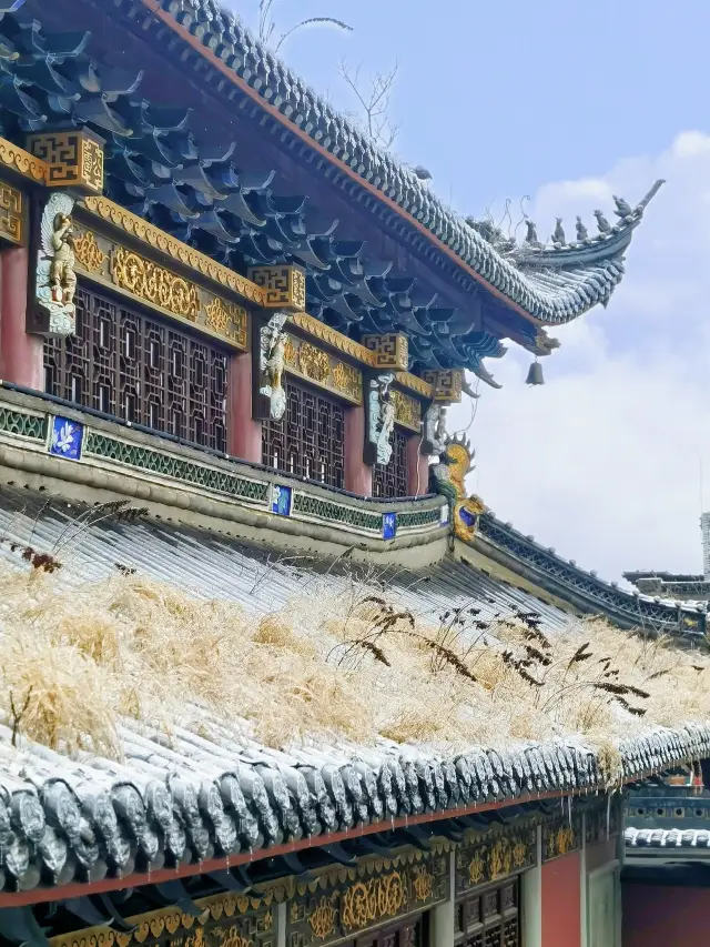 It's not the Forbidden City! You can also see the red wall snow scene in Hangzhou!