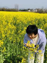 遇見——婺源，油菜花帶給的浪漫