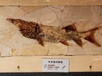 凌河流域歷史文化博物館