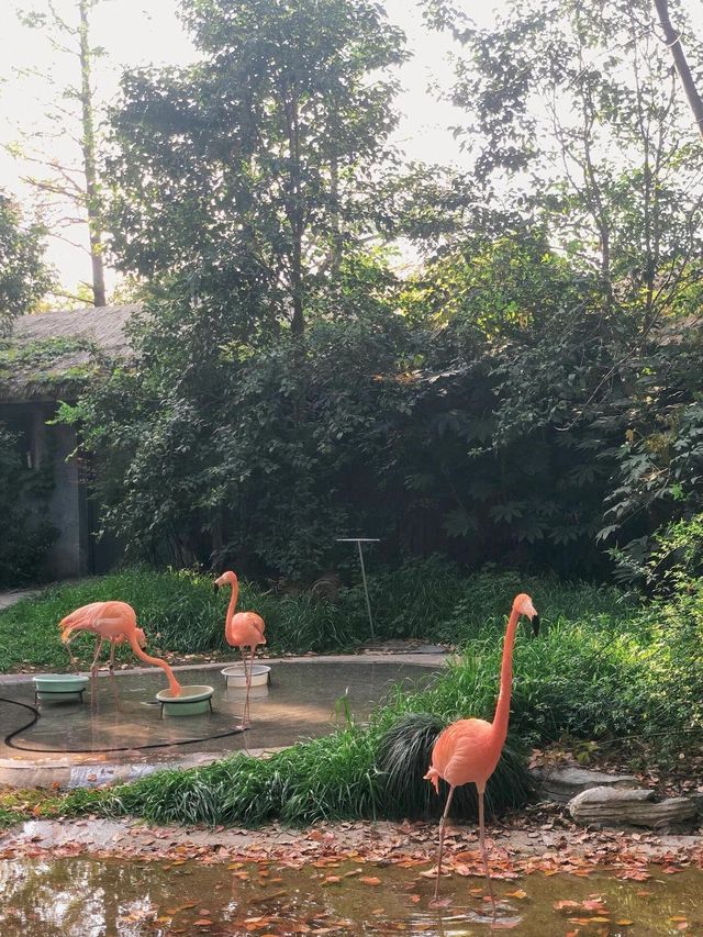 上海動物園遊玩攻略