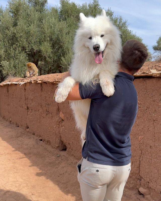 Felix in Morocco, Africa 🇲🇦 😍
