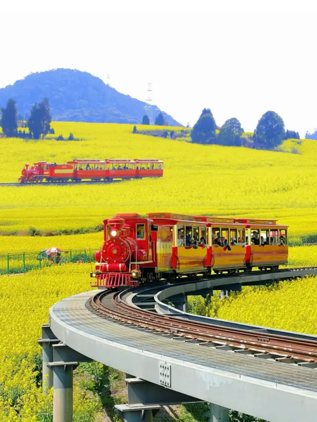 A ten-mile spring breeze, a visual feast of Luoping's million-acre rapeseed flower sea
