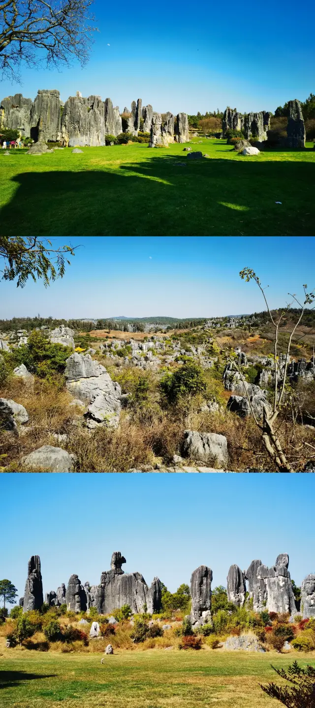 Nature's masterful craftsmanship has created the 'Number One Wonder of the World' at the Yunnan Stone Forest