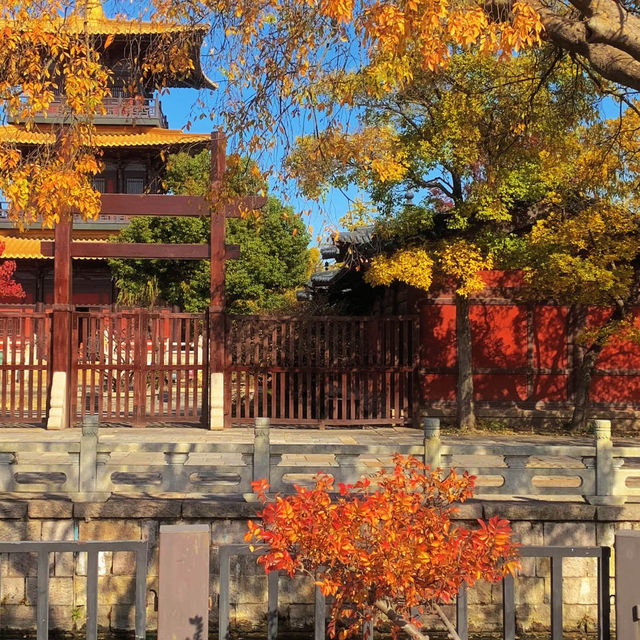 Shanghai travel guide
