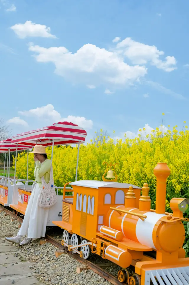 This is actually a farm in Chengdu!! Breaking into the fairy tale world of geese!