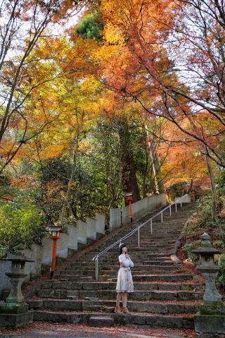 In search of autumn hues in Ehime, I trekked through the mountains for a day