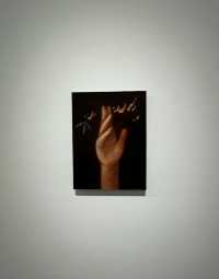 上海免費展|春天的西岸·驚喜連連
