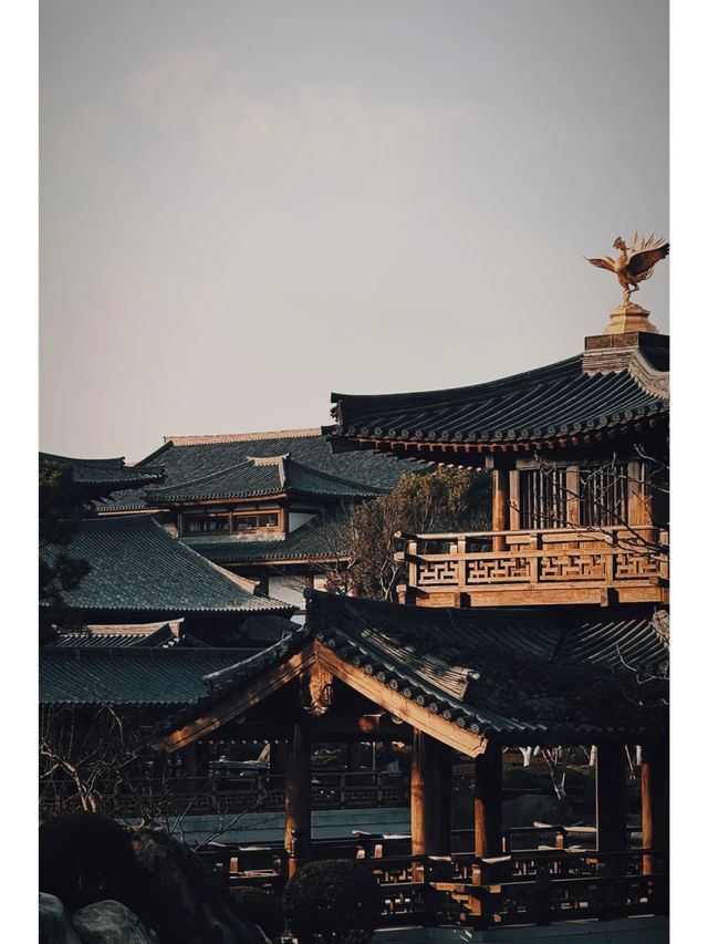 在上海我終於找到了晚唐古韻