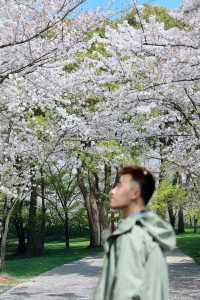 顧村公園旁邊的莫奈花園｜讓你一秒穿越歐洲！