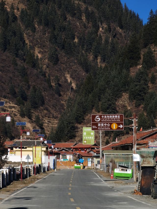 遊記｜俄珍神山4250，成功衝頂！卡龍溝，冬季瀑流冰之旅