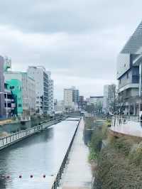 東京晴空塔：世界最高自立式電波塔，美食住宿交通一網打盡