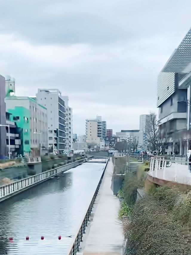 東京晴空塔：世界最高自立式電波塔，美食住宿交通一網打盡