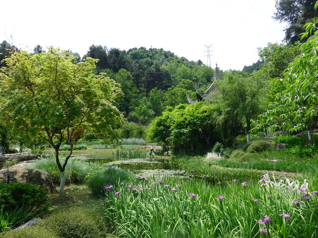 鮮花山谷——登高雲山·雲谷花境