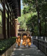 地鐵直達深圳古寺，小眾安靜又神秘