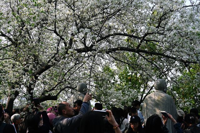 千年古刹石室禅院