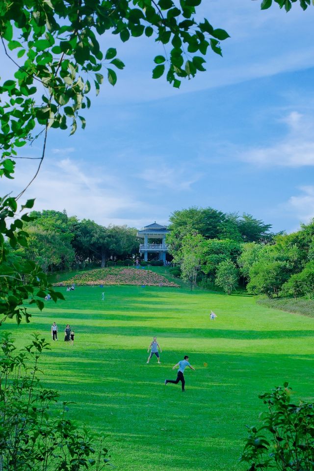 深圳草坪公園天花板，這裡也太chill了吧！！