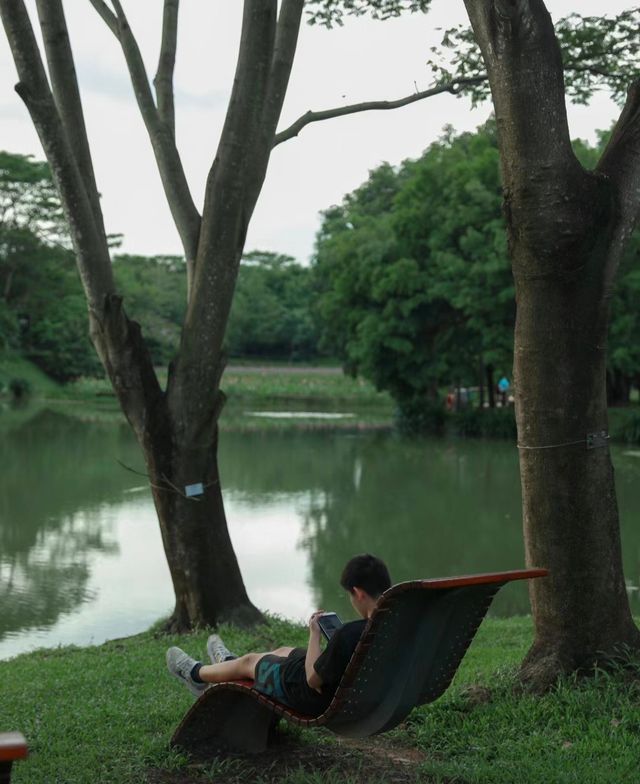 深圳拍照隱藏在市區裡的治癒系公園