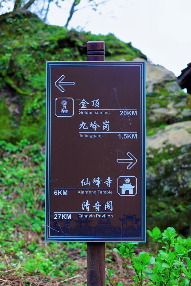 四川—峨眉山三刷全攻略！