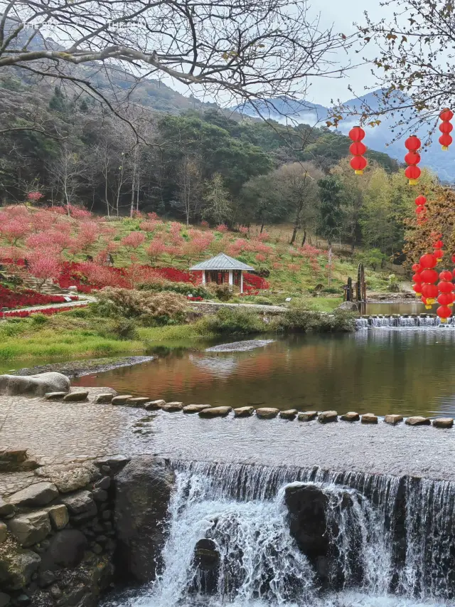 廣州春遊好去處從化石門國家森林公園