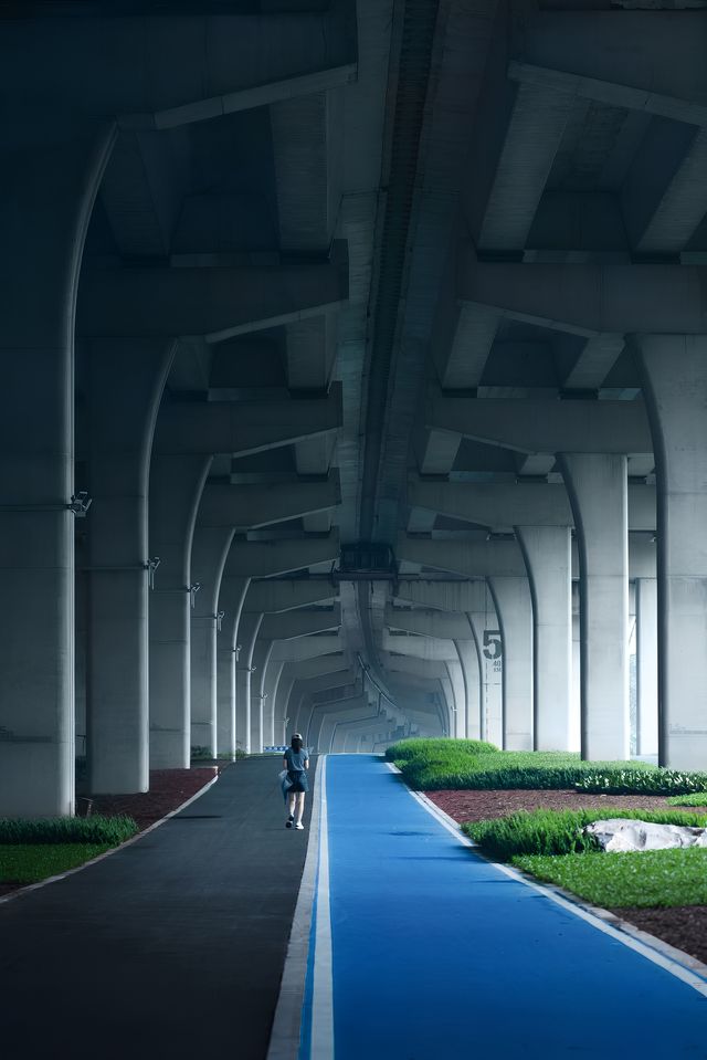 OMG～深圳過於全面這新開綠道有點超前了