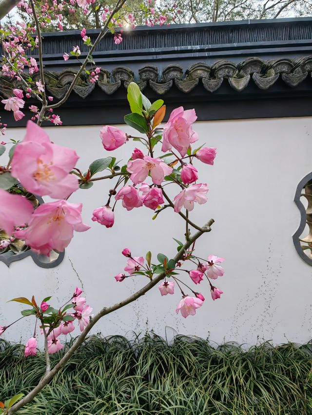 上海大觀園