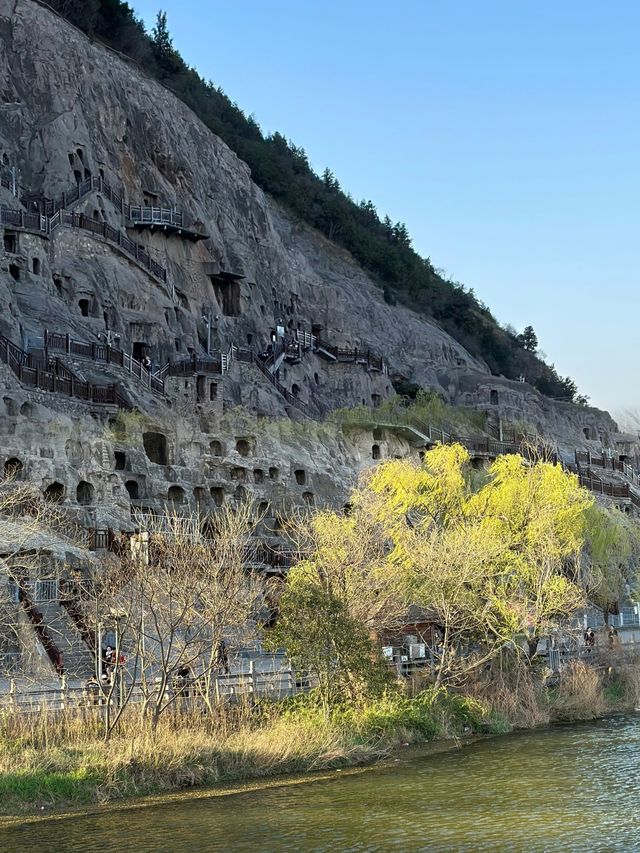 龍門石窟：與佛祖合影的秘境之旅