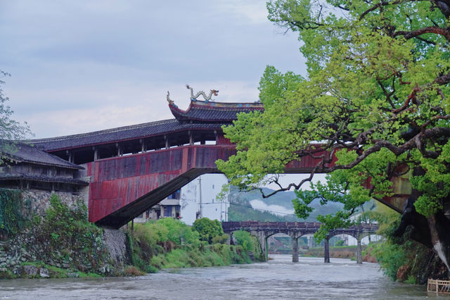 被稱為「活化石」的「姐妹花」，尋找世界最美廊橋