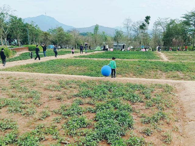 這個夏天來這裡！大草坪，溪水，滑滑梯，沙池……