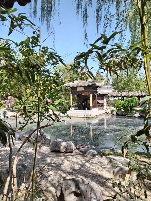 春風拂面，紅花綠草，把北京園博園的美麗風景拉滿爆棚