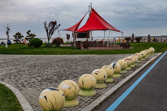 越來越成規模的濕地公園