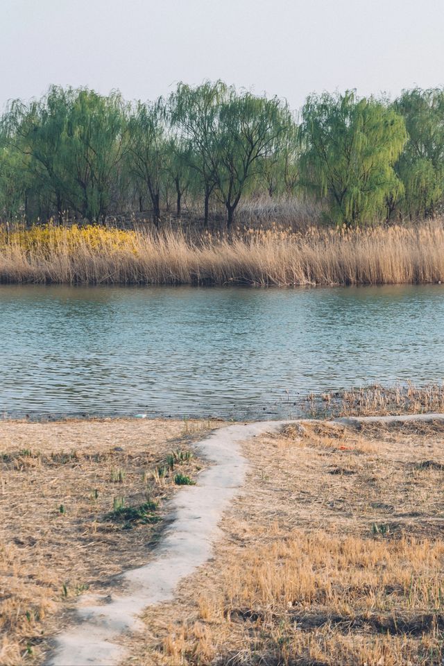 北京南海子公園｜皇家濕地的現代生態奇蹟