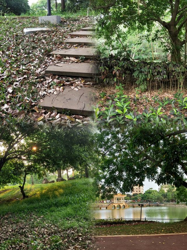 徐聞人民公園最全攻略 徐聞人民公園最全攻略