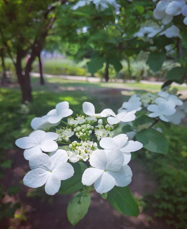 放鬆心情走走～濱海泰豐公園