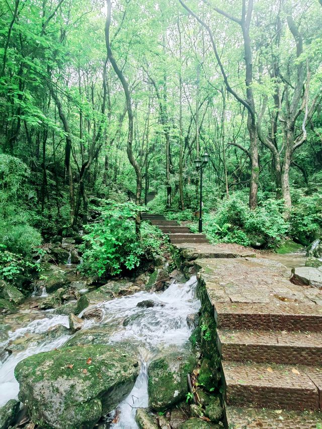 義烏華溪森林公園，家門口的綠野仙蹤