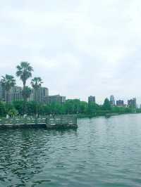 寧波日湖公園，亮點紛呈，值得一去再去