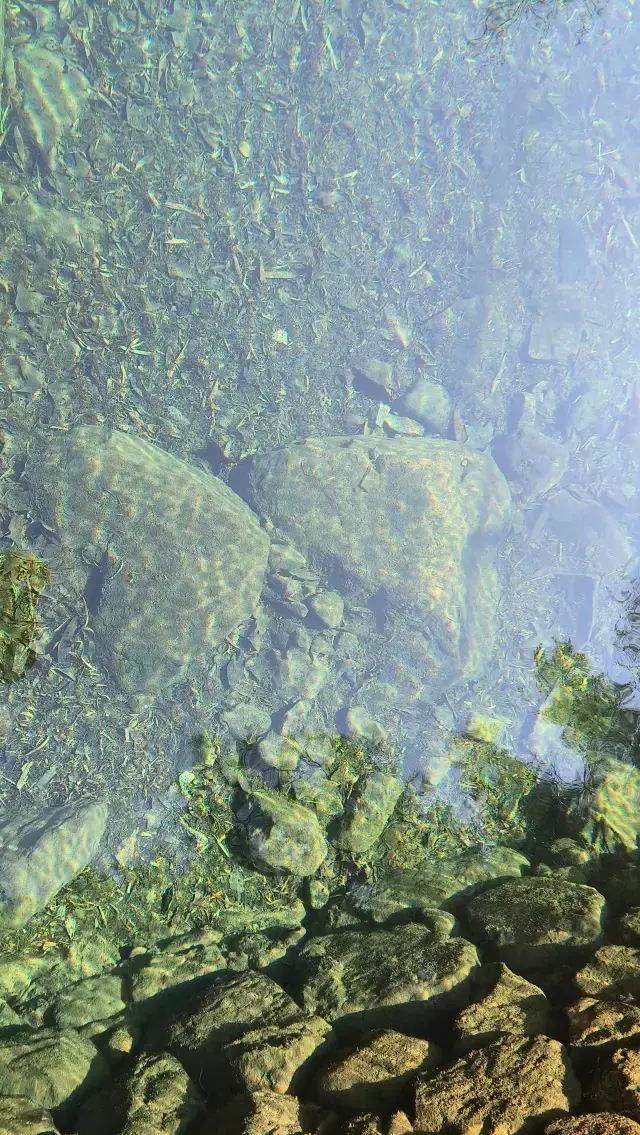 大奇山國家森林公園②