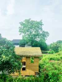 義烏瘋狗露營基地，名字奇特，風景秀麗