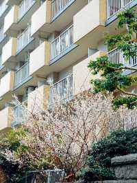 【熊本春天好去處】城市漫步品味文學氛圍自在郊遊必備之地