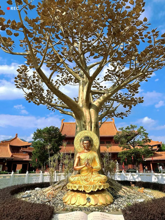 巴伐利亞莊園，我的夢幻度假天堂！